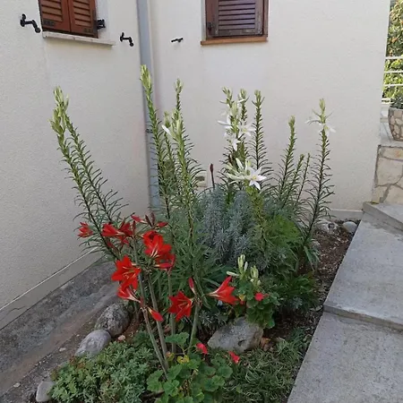 By The Sea Borje, Peljesac - 24837 Apartment